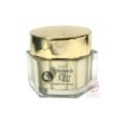 Skinnicle Glow Gold Night Face Cream